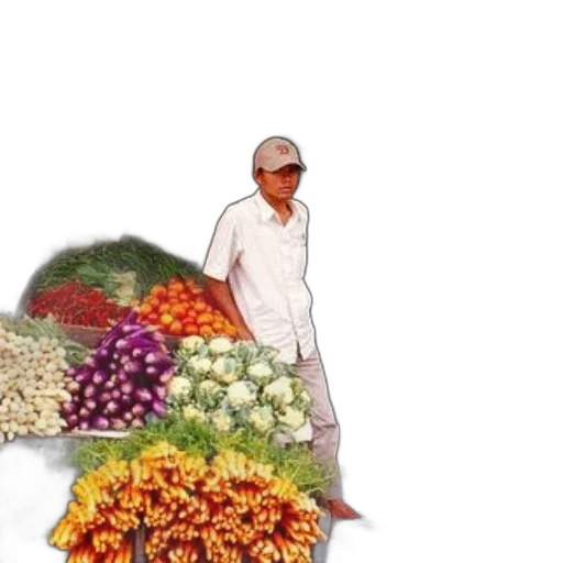 flower, food, umbrella, staff transparent PNG cut-out