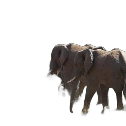 animal, creature, staff, 3d render transparent PNG cut-out