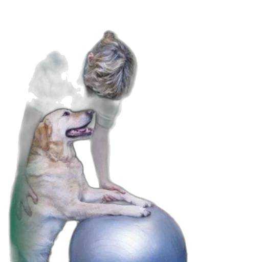 animal, creature, staff, photorealistic transparent PNG cut-out