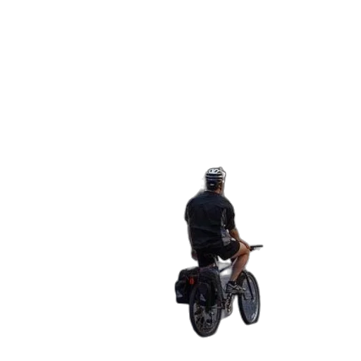 animal, jacket, weapon, creature transparent PNG cut-out