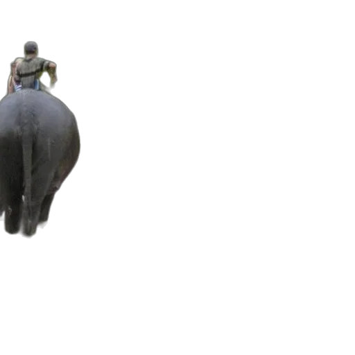 animal, hat, creature, staff transparent PNG cut-out