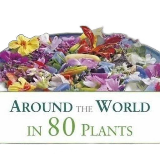 image, cover, book, titled transparent PNG cut-out
