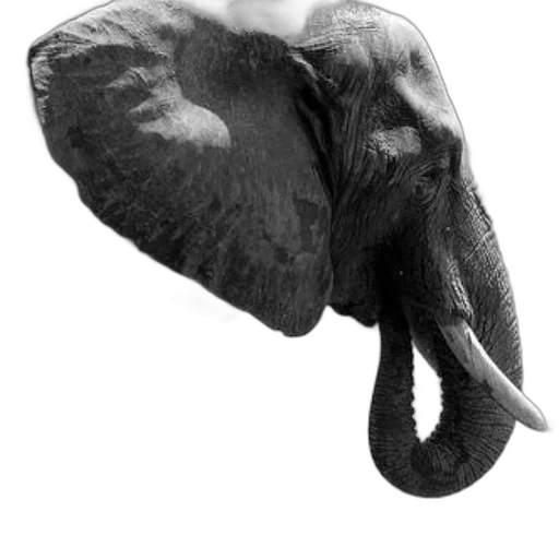 animal, creature, mask, staff transparent PNG cut-out