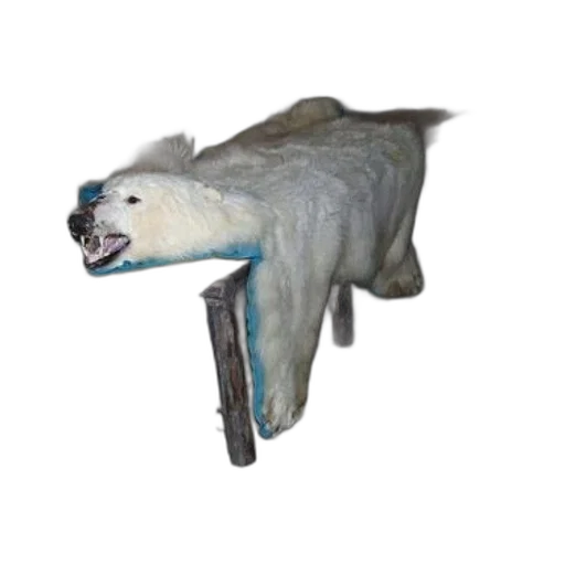 animal, creature, staff, weapon transparent PNG cut-out