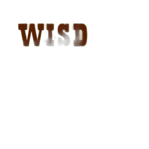 staff, hat, jewelry, weapon transparent PNG cut-out