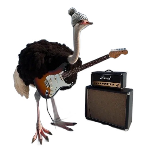 animal, creature, ostrich, wears transparent PNG cut-out