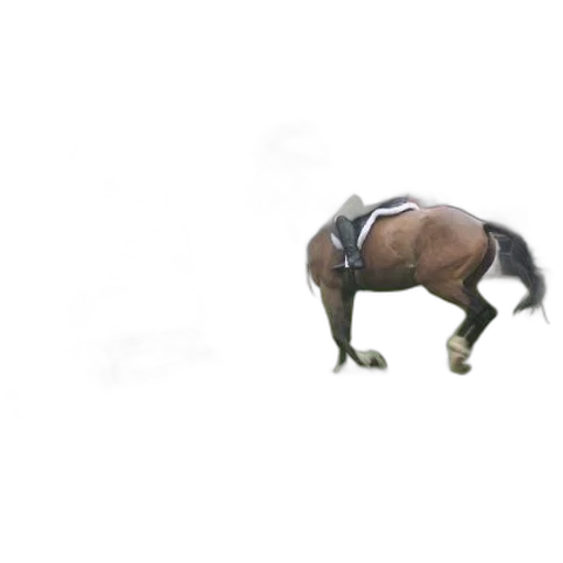 animal, creature, shoes, robot transparent PNG cut-out