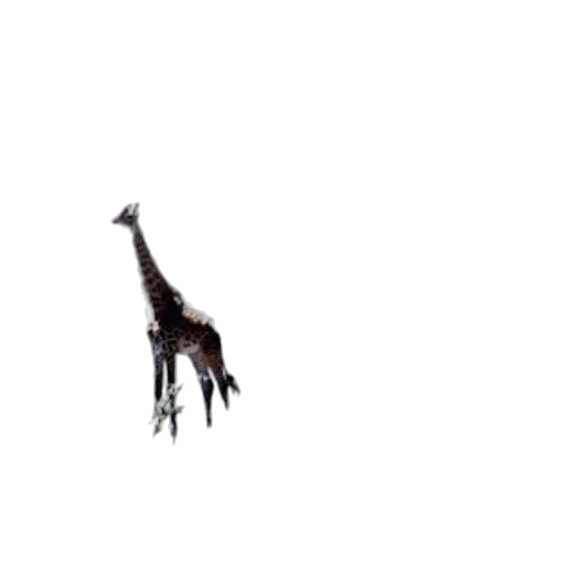 animal, creature, dragon, staff transparent PNG cut-out