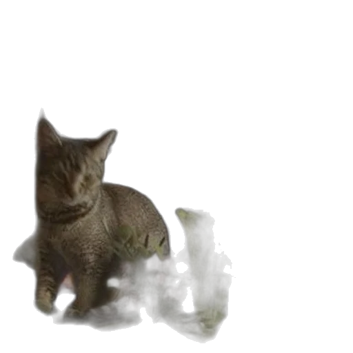 creature, animal, dragon, bottle transparent PNG cut-out