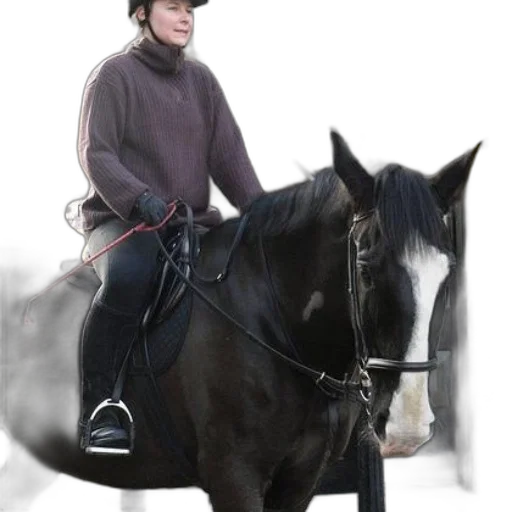 staff, animal, hat, photorealistic transparent PNG cut-out