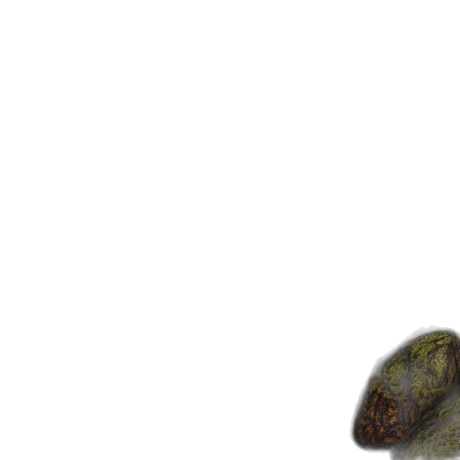 creature, animal, hat, face transparent PNG cut-out