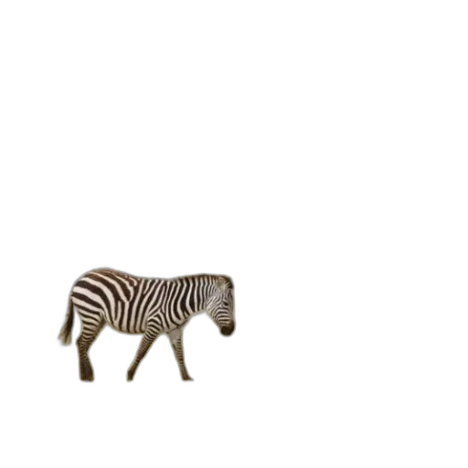 animal, creature, furniture, robot transparent PNG cut-out