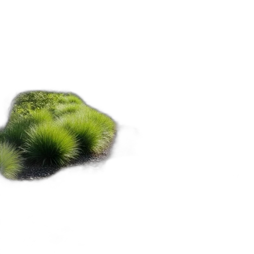 hair, car, hat, tree transparent PNG cut-out