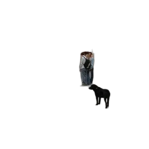 animal, creature, furniture, staff transparent PNG cut-out