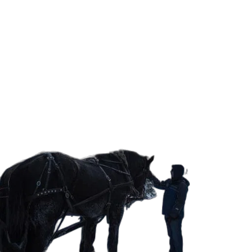 animal, staff, robot, car transparent PNG cut-out