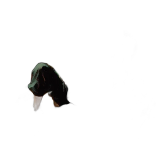 hat, mask, animal, shoes transparent PNG cut-out