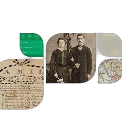 forest, evernote, genealogy, step-by-step transparent PNG cut-out