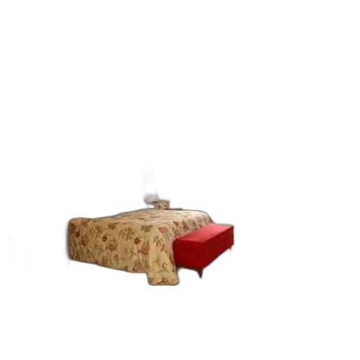 furniture, shoes, food, animal transparent PNG cut-out