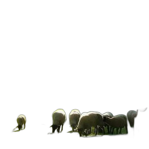 animal, staff, creature, furniture transparent PNG cut-out