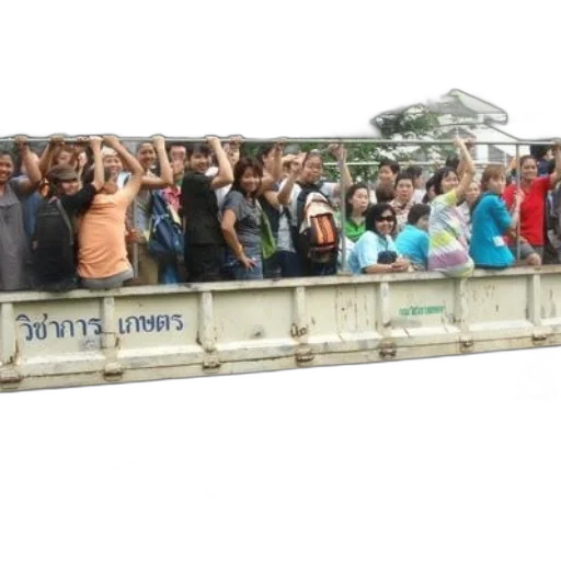 staff, group, people, stand transparent PNG cut-out