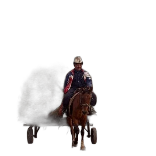 jacket, car, animal, staff transparent PNG cut-out