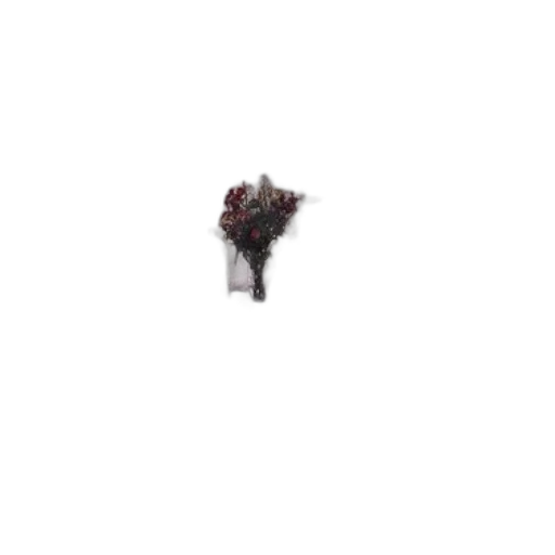 hair, crown, flower, creature transparent PNG cut-out