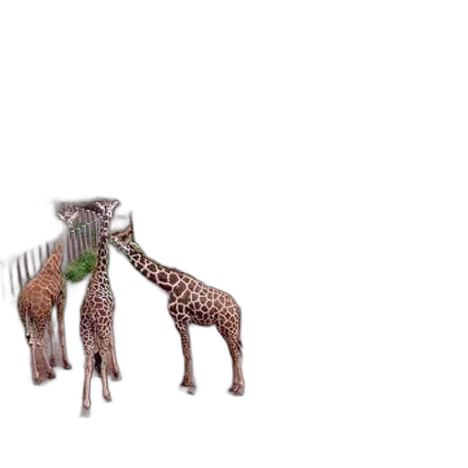 animal, creature, furniture, 3d render transparent PNG cut-out