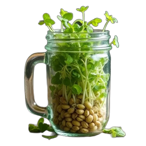 food, crown, bottle, photorealistic transparent PNG cut-out