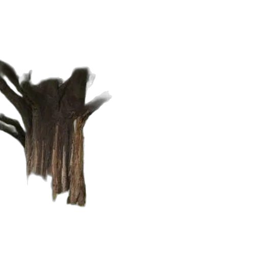 tree, hair, furniture, crown transparent PNG cut-out