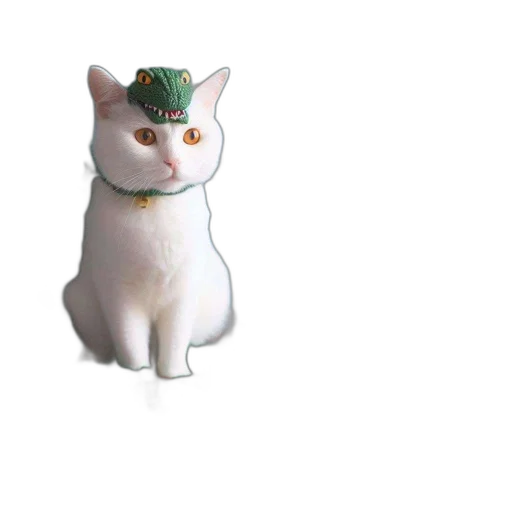 hat, animal, crown, staff transparent PNG cut-out