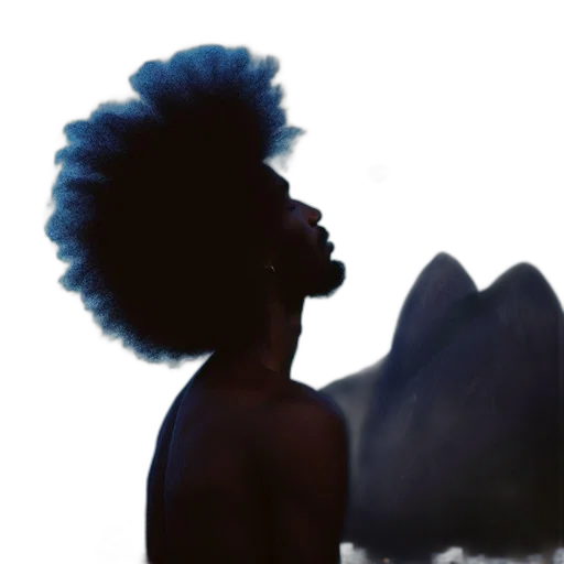 hair, crown, hat, creature transparent PNG cut-out