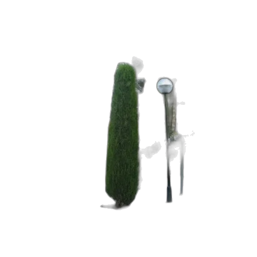 weapon, staff, hair, tree transparent PNG cut-out