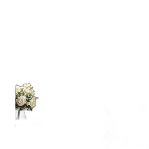 jewelry, flower, crown, furniture transparent PNG cut-out