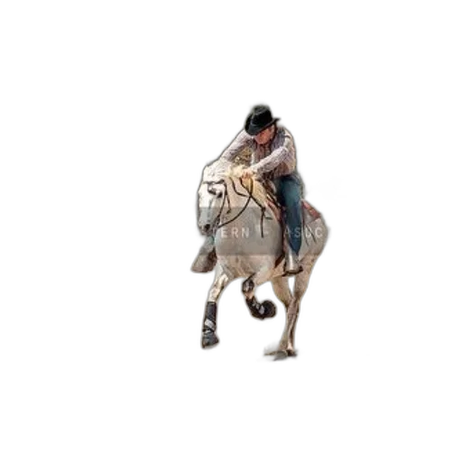 animal, weapon, jacket, jewelry transparent PNG cut-out