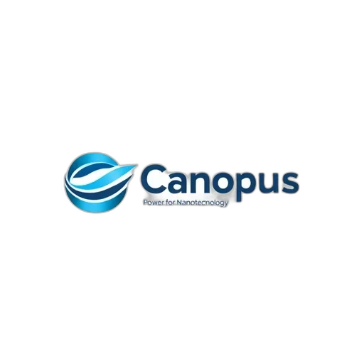 first, image, displays, stylized transparent PNG cut-out