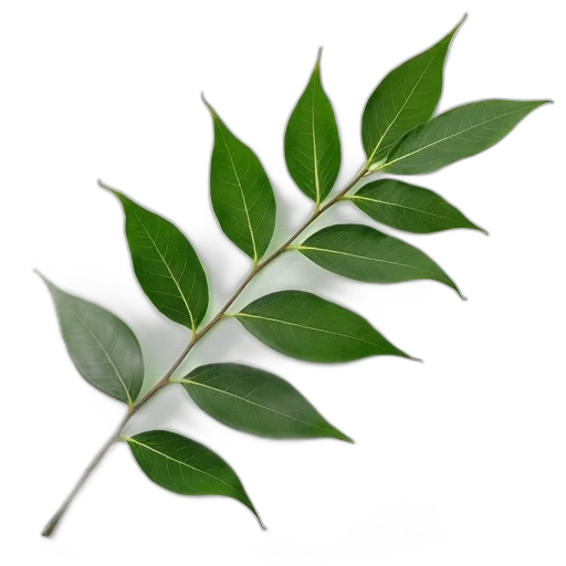 staff, tree, weapon, food transparent PNG cut-out