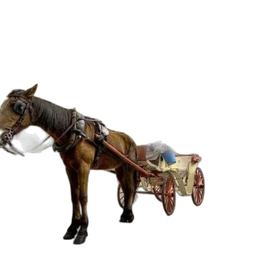staff, weapon, car, furniture transparent PNG cut-out