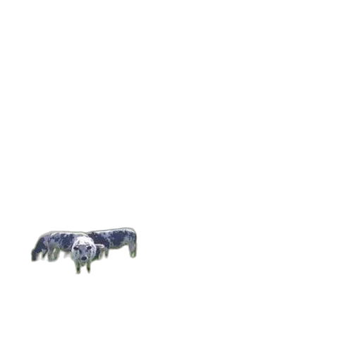 robot, animal, creature, weapon transparent PNG cut-out