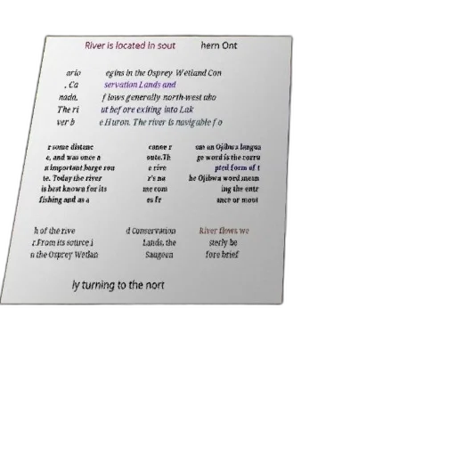 food, image, text-based, description transparent PNG cut-out
