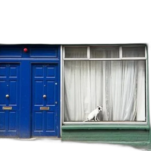 furniture, building, animal, shoes transparent PNG cut-out