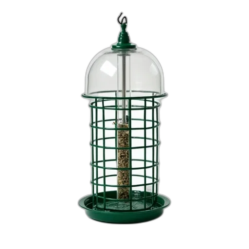 3d render, bird, feeder, clear transparent PNG cut-out