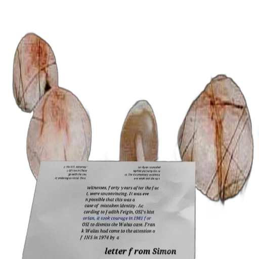 shoes, mask, staff, hair transparent PNG cut-out