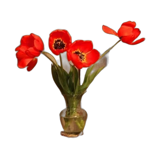 flower, crown, jewelry, hat transparent PNG cut-out