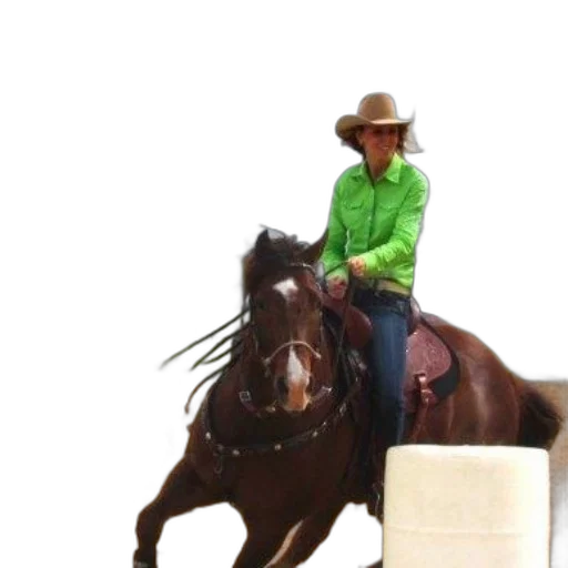 hat, photorealistic, 3d render, cover transparent PNG cut-out