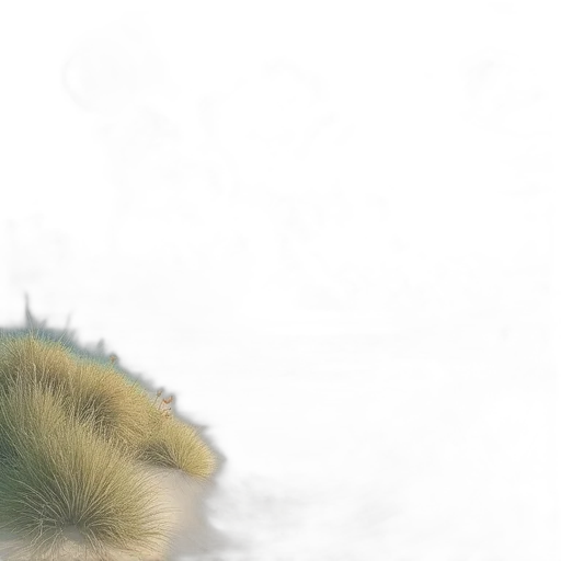 hair, creature, hat, animal transparent PNG cut-out