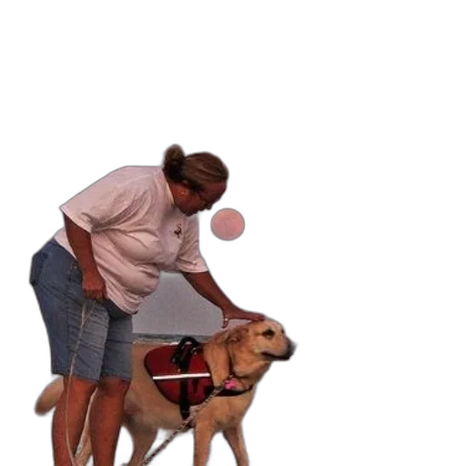 staff, umbrella, animal, weapon transparent PNG cut-out