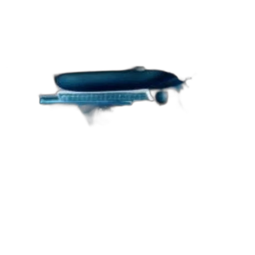 staff, weapon, car, hat transparent PNG cut-out