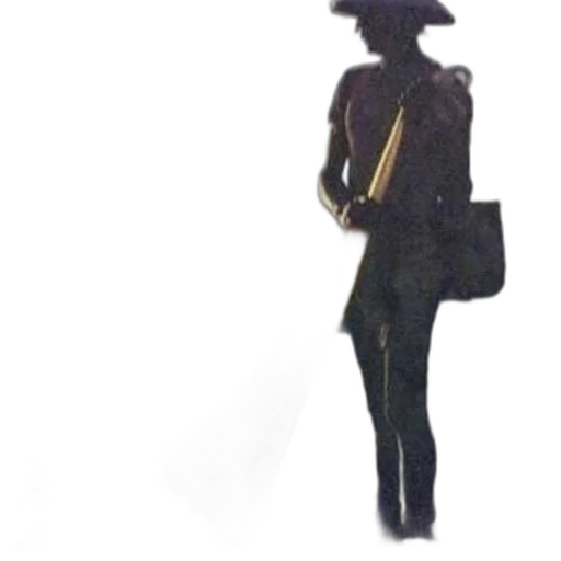 hat, staff, jacket, dress transparent PNG cut-out
