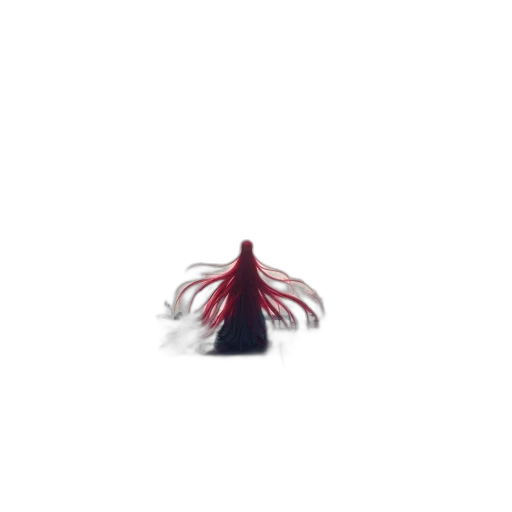 hair, crown, hat, creature transparent PNG cut-out