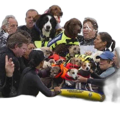staff, group, people, water transparent PNG cut-out